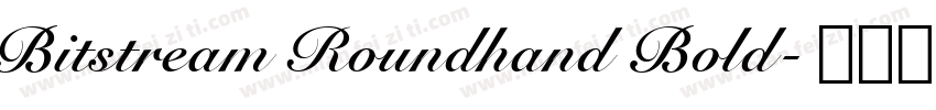 Bitstream Roundhand Bold字体转换